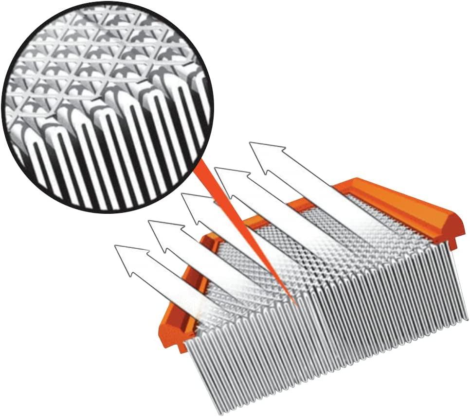 Extra Guard CA12296 Replacement Engine Air Filter for Select Kia Rio and Hyundai Accent (1.6L) Models, Provides up to 12 Months or 12,000 Miles Filter Protection