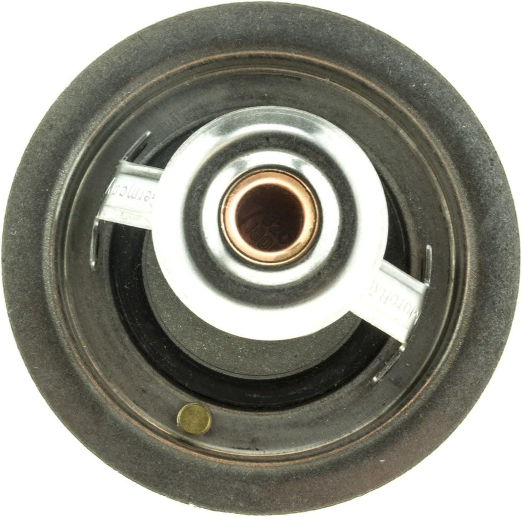 Heavy-Duty Thermostat, Stainless Steel