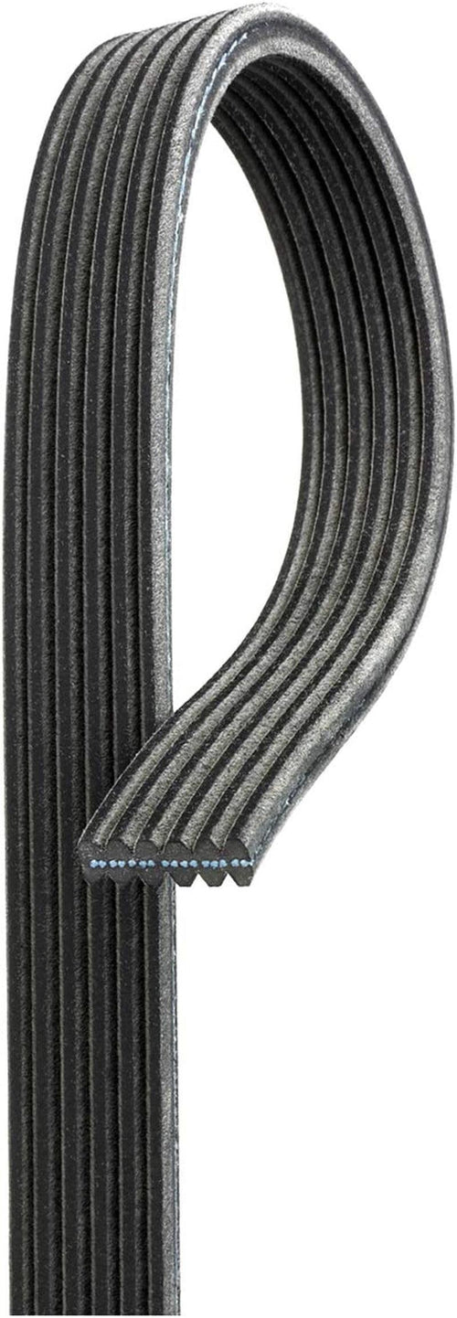 Gold 6DK973 Dual Sided V-Ribbed Serpentine Belt