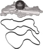 Professional 252-956 Water Pump Kit