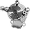 Professional 252-709 Water Pump Kit