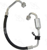 56165 Discharge Line Hose Assembly