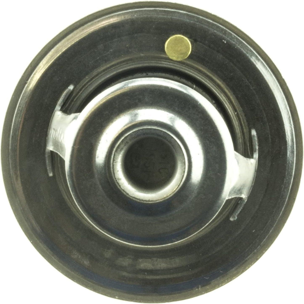 45779 Thermostat