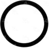 24520 A/C Line O-Ring