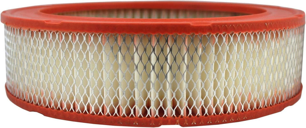 Extra Guard CA176 Replacement Engine Air Filter for Select GMC, Chevrolet, Pontiac, Checker and Volvo Models, Provides up to 12 Months or 12,000 Miles Filter Protection