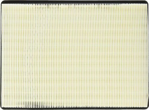Automotive 5353WS Workshop Engine Air Filter