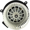 700234 Replacement Blower Assembly