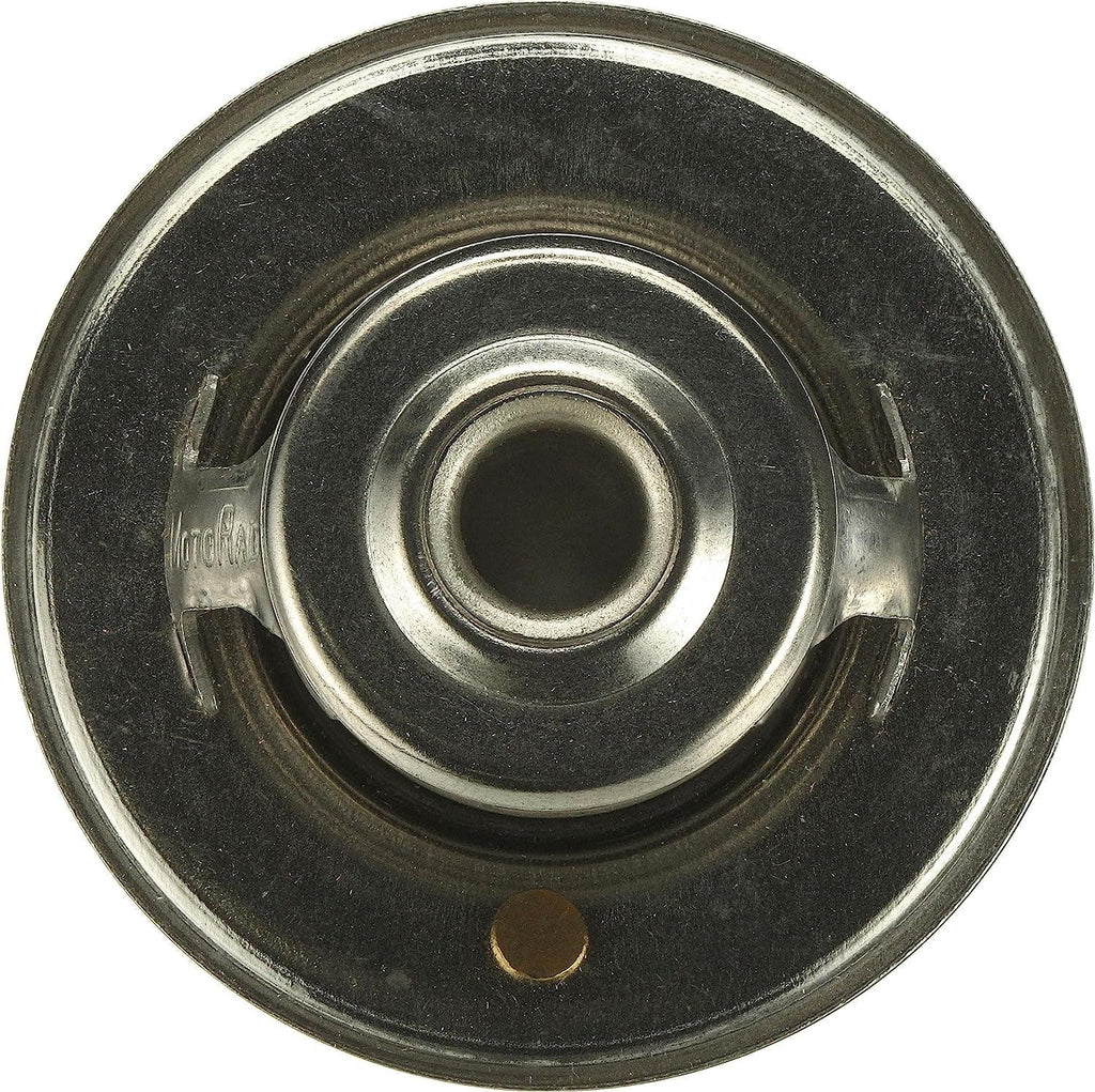 33469S Premium Thermostat