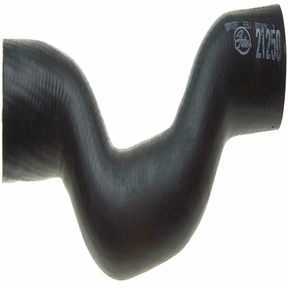 Radiator Coolant Hose