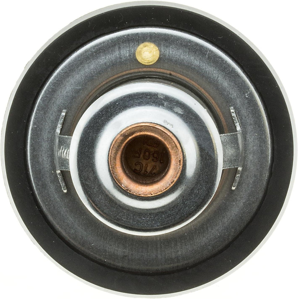 265-160 Thermostat with Seal, Silver