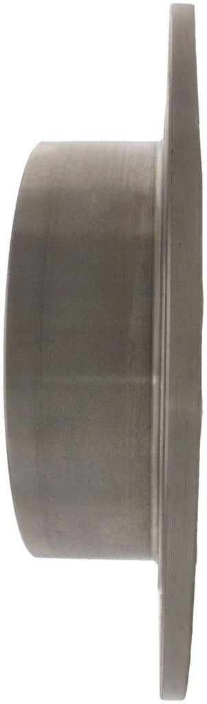 Rear Disc Brake Rotor for Altima, Sentra, Juke, Safrane, Maxima (121.42073)