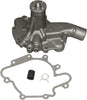 Professional 252-596 Water Pump Kit