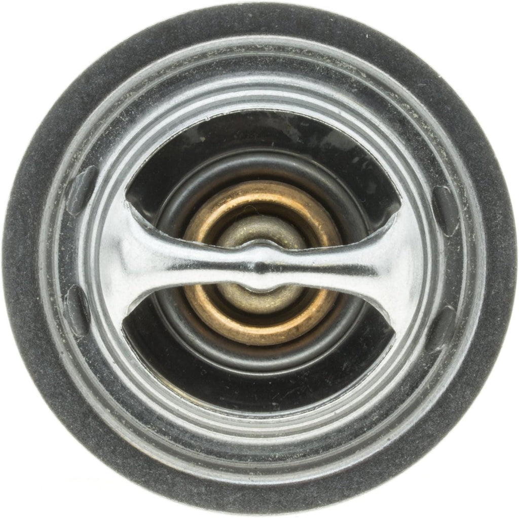 268-192 Thermostat