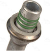 55324 Hose Assembly