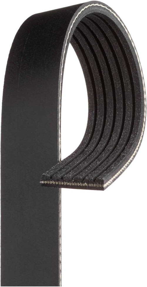 Gold 6K837A Standard V-Ribbed Serpentine Belt