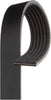 Gold 6K873A Standard V-Ribbed Serpentine Belt