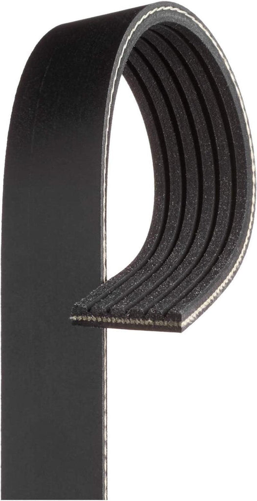 Gold 6K873A Standard V-Ribbed Serpentine Belt