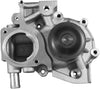 Professional 252-961 Water Pump Kit