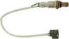 24168 Oxygen Sensor