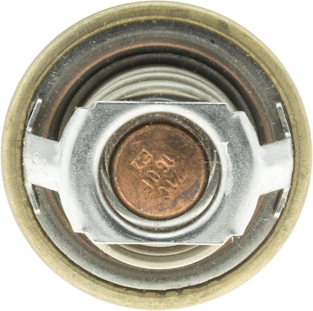 237-160 Thermostat