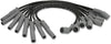 Msd Wire Set, Blk, Ford Raptor 2010-14 6.2L