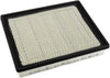 GM Original Equipment A3181C Air Filter