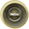 238-160 Thermostat