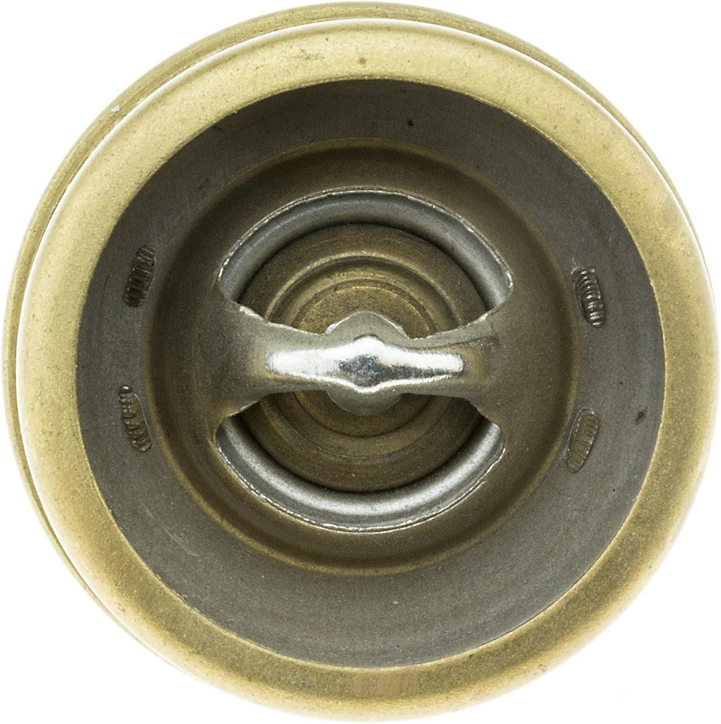 238-160 Thermostat