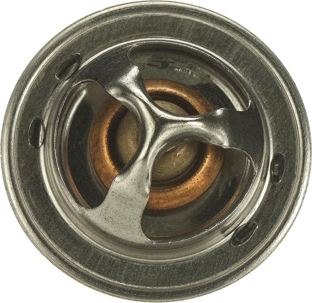 33269S Thermostat