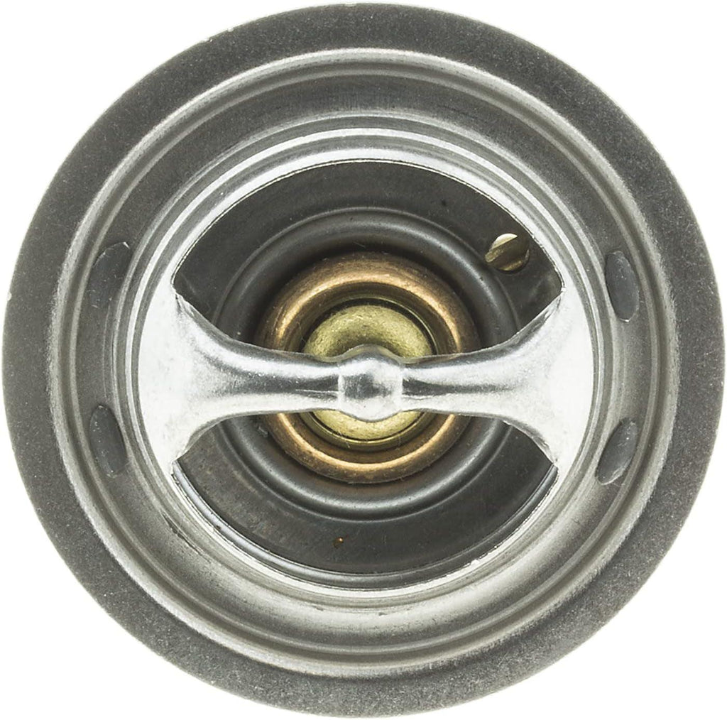 OE Type Thermostat,Stainless Steel