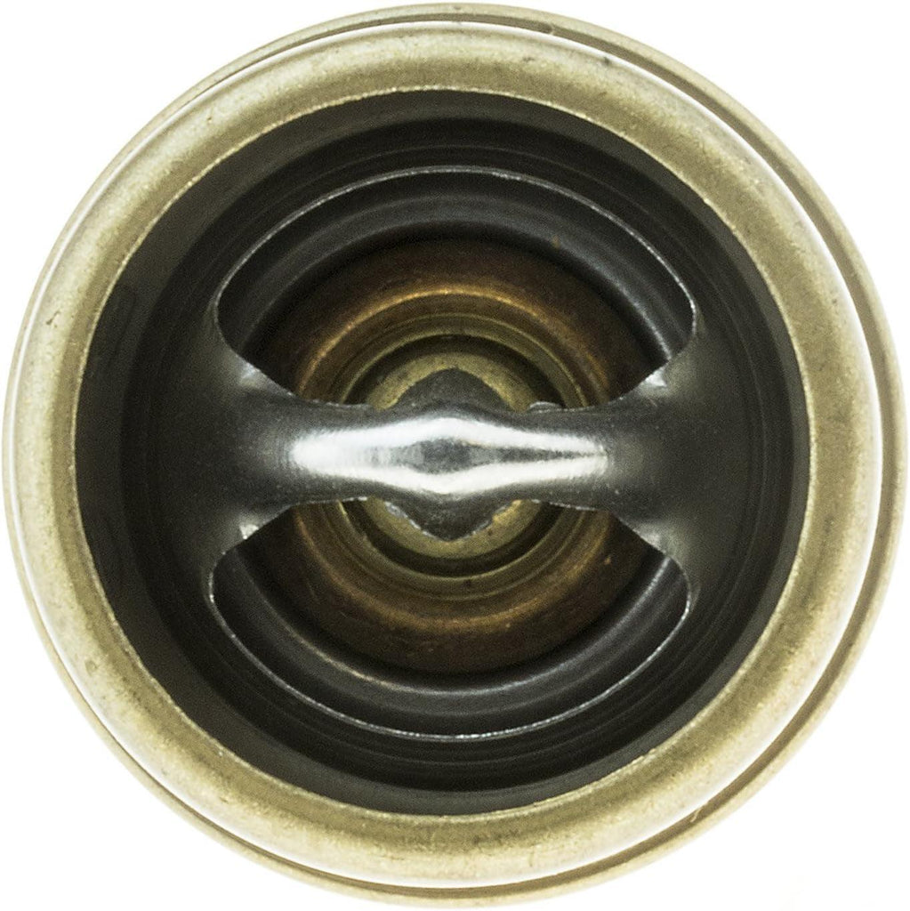237-160 Thermostat