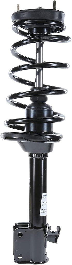 182446 Suspension Strut and Coil Spring Assembly