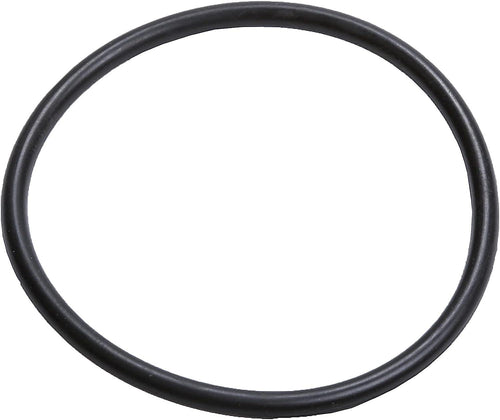 55496156 Radiator Outlet Pipe Seal