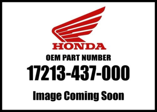 XL100S XL125S XL185S XR185 XR200 Air Filter OEM