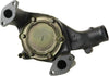 Professional 252-181 Water Pump Kit