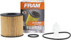 Tough Guard Replacement Oil Filter TG9972, Designed for Interval Full-Flow Changes Lasting up to 15K Miles