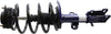 Roadmatic 181128R Strut and Coil Spring Assembly