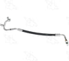 56636 Hose Assembly