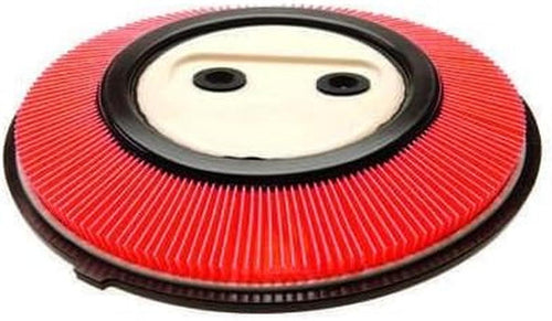 A1231C Air Filter