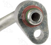 56966 Discharge Line Hose Assembly