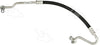 56784 Discharge Line Hose Assembly