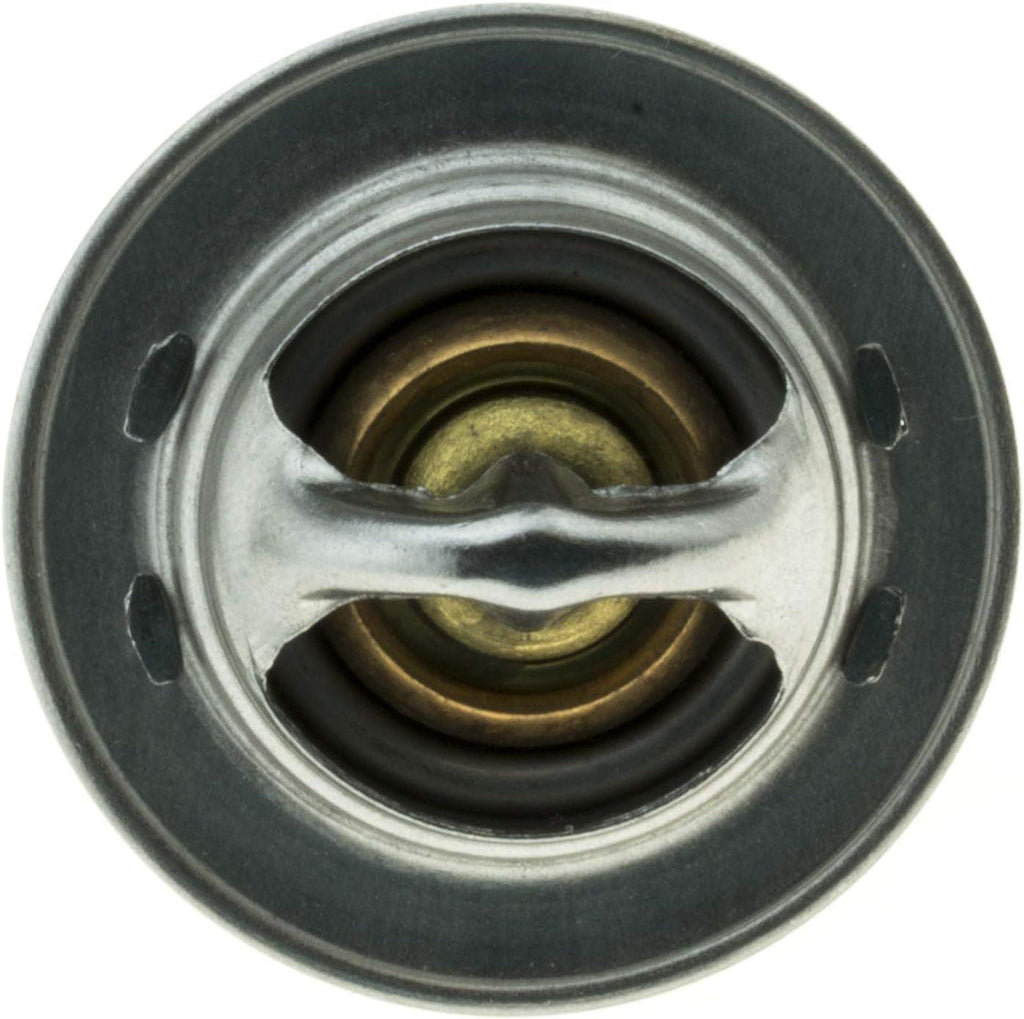 -13788 OE Type Thermostat, Stainless Steel