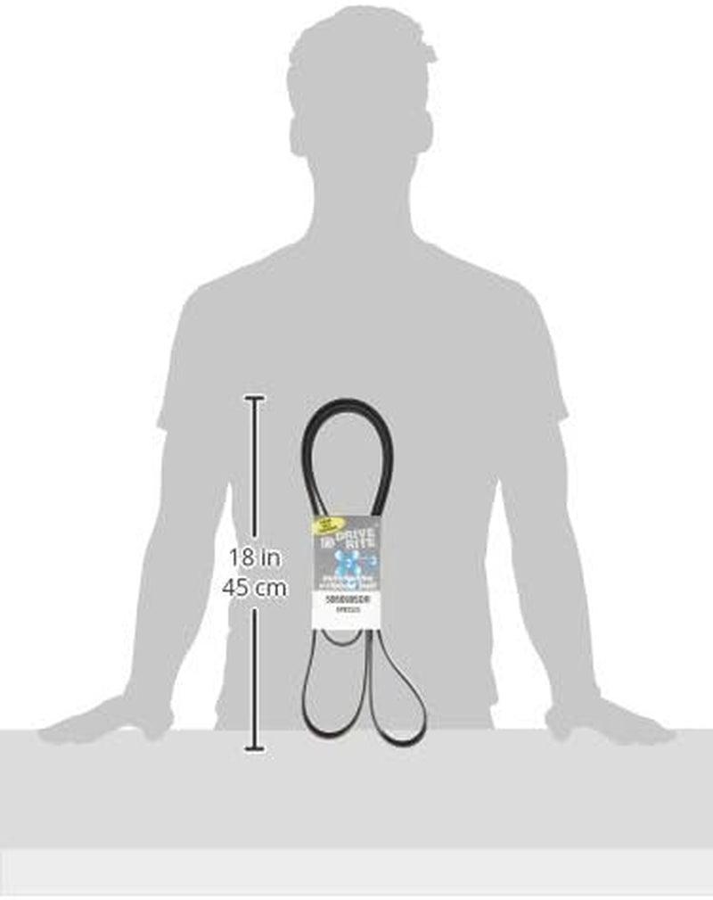 Dayco 5060995DR Serpentine Belt