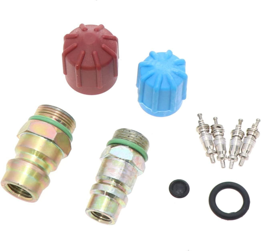 26784 Cap & Valve Air Conditioning System Seal Kit