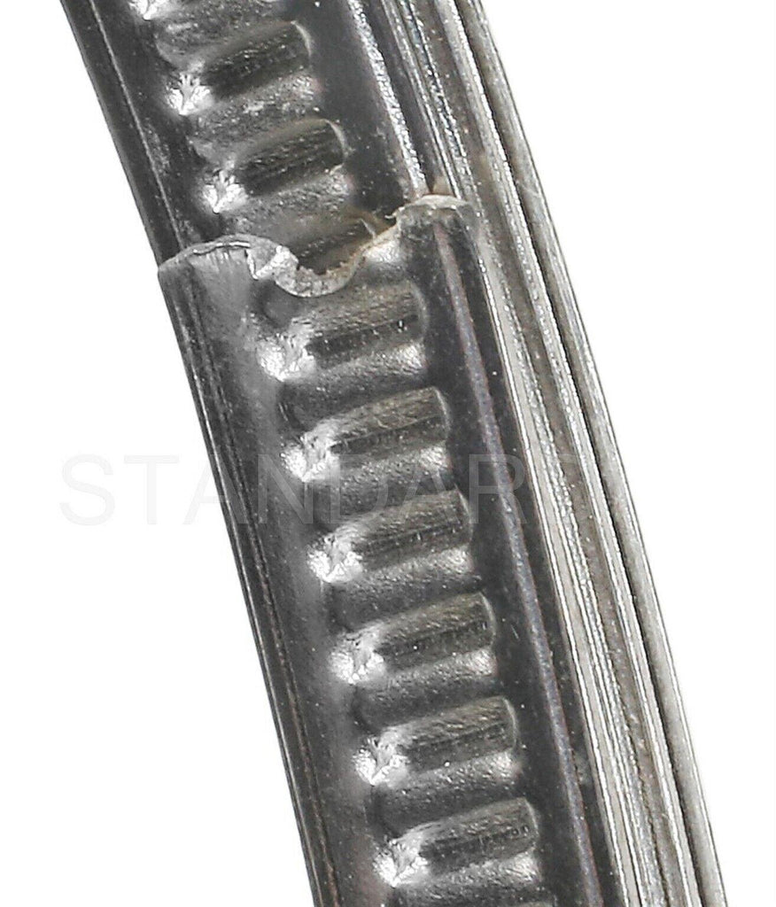 Tire Pressure Monitoring System Sensor Mounting Band for +More TPM1194