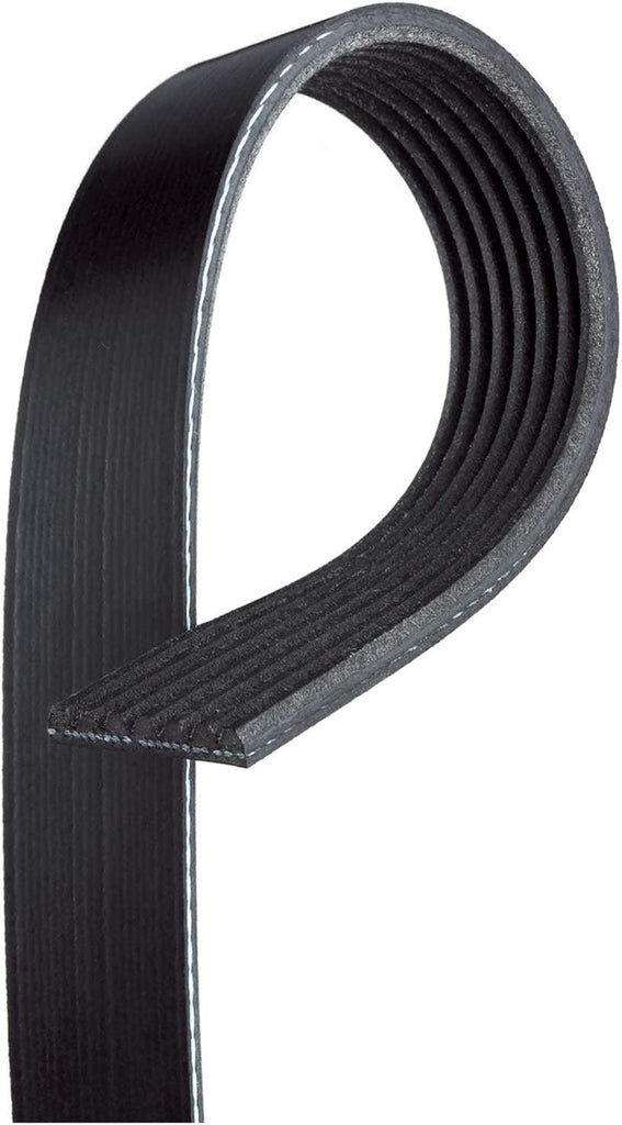 Gold 7K1134 Standard V-Ribbed Serpentine Belt