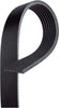 Gold 7K443 Standard V-Ribbed Serpentine Belt