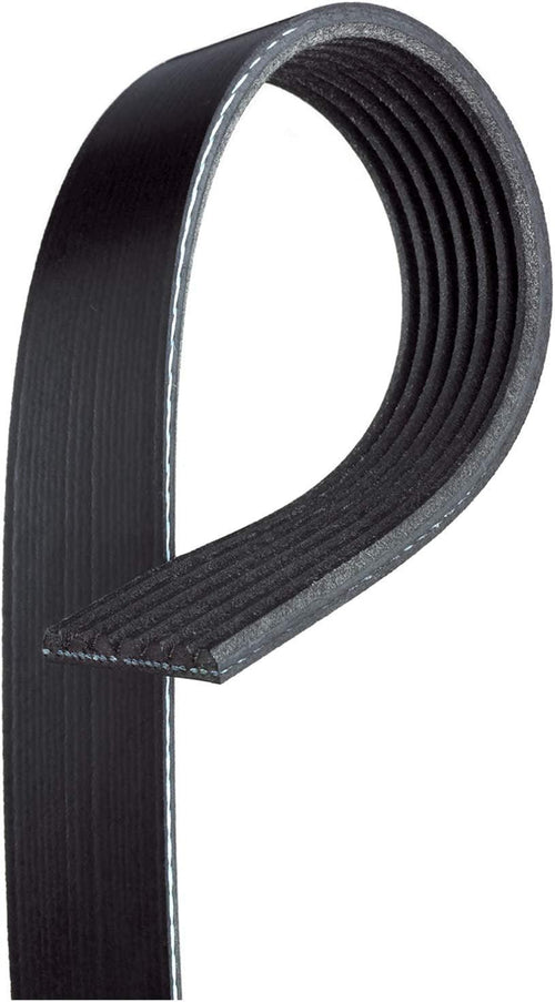 Gold 7K924 Standard V-Ribbed Serpentine Belt