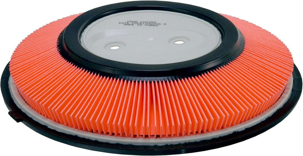 Extra Guard CA6850 Replacement Engine Air Filter for Select Nissan (2.4L) Models, Provides up to 12 Months or 12,000 Miles Filter Protection