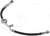 55561 Hose Assembly